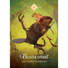Oracle Cards in a Box The Spirit Animal Pocket Hay House