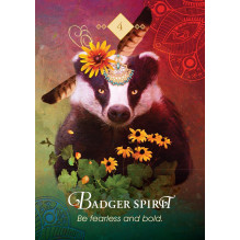 Oracle Cards in a Box The Spirit Animal Pocket Hay House