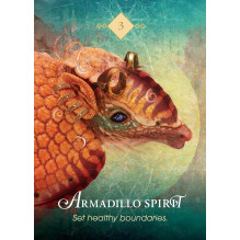 Oracle Cards in a Box The Spirit Animal Pocket Hay House