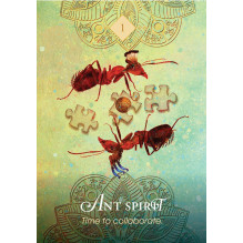 Oracle Cards in a Box The Spirit Animal Pocket Hay House