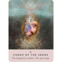 Hay House The Rose Pocket Oracle Kortos