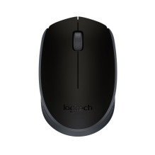 Įvesties Prietaisas - Logitech Pelė M171 Belaidė 2.4GHz USB Plug-and-Play Juoda