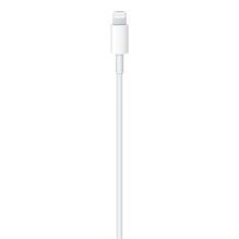 USB Kabelis - Apple USB-C į...
