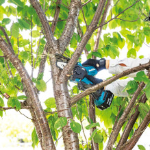 Grandininis Pjūklas - MAKITA DUC101Z01 10 cm, 8 m / s, 18 V, 1.1 kg, 76 dB, Mėlyna, Juoda Grandininis Pjūklas - MAKITA DUC101Z01 10 cm, 8 m / s, 18 V, 1.1 kg, 76 dB, Mėlyna, Juoda