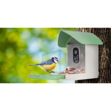 Redleaf RD001 bird feeder surveillance camera
