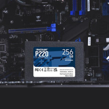 Internal Hard Drive - Patriot Memory P220 256GB, Silver Internal Hard Drive - Patriot Memory P220 256GB, Silver