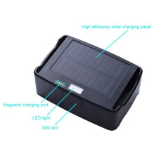 Animal GPS Tracker - Waterproof Solar Powered 4G Tracker 15000mAh IP67