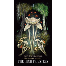 Midnight Magic Tarot Cards by Adams Media
