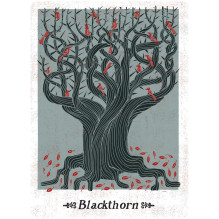 Oracle Cards Folklore Watkins Publishing