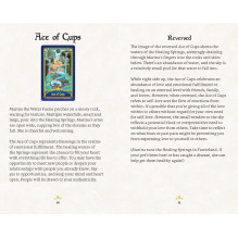 Tarot Cards Neopets: The Official Andrews Mcmeel Publishing