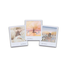 Tarot kortos Wild Lands Sacred Scribe Publishing