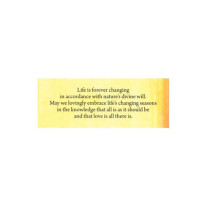 Oracle Cards - Soulmate Oracle 55 Mini Cards 4x1.5 cm 172 g Oracle Cards - Soulmate Oracle 55 Mini Cards 4x1.5 cm 172 g