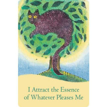Hay House The Law Of Attraction Cards