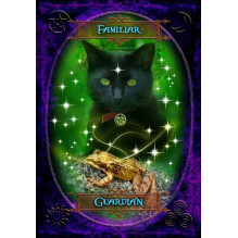 Oracle Cards - Witches Wisdom Oracle Cards Solarus 48 Cards 10.5x15 cm