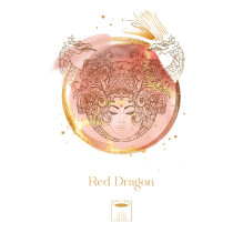 Astrologijos Kortų Rinkinys - Maya Astro Orakulo Kortos AGM 44 Kortos 15x10.5x4.5 cm