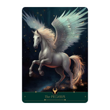 Playing Card Set - The Phoenix Cards AGM 44 Cards Instruction Booklet 14.5x10.5x4.2 cm