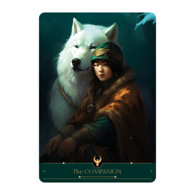 Playing Card Set - The Phoenix Cards AGM 44 Cards Instruction Booklet 14.5x10.5x4.2 cm