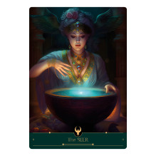 Playing Card Set - The Phoenix Cards AGM 44 Cards Instruction Booklet 14.5x10.5x4.2 cm