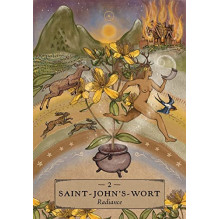 Oracle Card Set - Herbal Astrology Oracle 55 Card Guide 10 x 13.8 cm Oracle Card Set - Herbal Astrology Oracle 55 Card Guide 10 x 13.8 cm