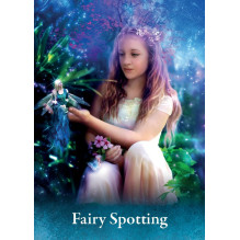 Oracle Cards - Pocket Oracle about Fairies 44 Cards 10x7.5x3.3 cm 195 g
