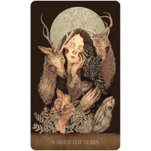 Oracle Cards - Dream Song Oracle 45 Cards 104 Pages Guide 11x16x3.8 cm Oracle Cards - Dream Song Oracle 45 Cards 104 Pages Guide 11x16x3.8 cm