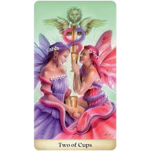 Tarot Card Set - Calandra Tarot 80 Cards 120 Pages Guide Box 8x14x4.5 cm