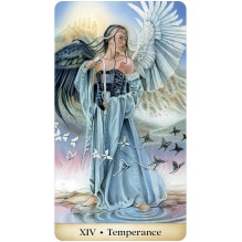 Tarot Card Set - Calandra Tarot 80 Cards 120 Pages Guide Box 8x14x4.5 cm