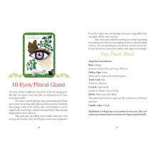 Oracle Cards - Schiffer Publishing Healthy Witch Oracle 55 Cards 12.5x9x2.6 cm Oracle Cards - Schiffer Publishing Healthy Witch Oracle 55 Cards 12.5x9x2.6 cm
