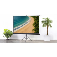 Projector Screen - Camrock Matte T 100 100-inch 16:9 Portable Tripod