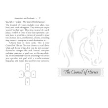 Oracle Card Deck - Bear and Company Horse Council 40 Card Guide Oracle Card Deck - Bear and Company Horse Council 40 Card Guide