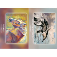 Oracle Card Deck - Bear and Company Horse Council 40 Card Guide Oracle Card Deck - Bear and Company Horse Council 40 Card Guide