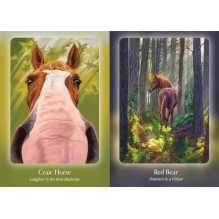 Oracle Card Deck - Bear and Company Horse Council 40 Card Guide Oracle Card Deck - Bear and Company Horse Council 40 Card Guide