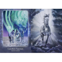 Oracle Card Deck - Bear and Company Horse Council 40 Card Guide Oracle Card Deck - Bear and Company Horse Council 40 Card Guide