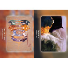 Oracle Card Deck - Bear and Company Horse Council 40 Card Guide Oracle Card Deck - Bear and Company Horse Council 40 Card Guide