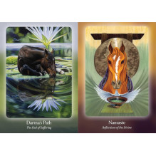 Oracle Card Deck - Bear and Company Horse Council 40 Card Guide Oracle Card Deck - Bear and Company Horse Council 40 Card Guide