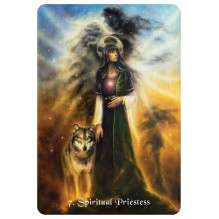 Spiritual Guidance Cards - Channeled Spiritual Cards with Gaia 54 Cards