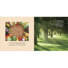 Meditation Book - Earth, Air, Fire, Water with 2 CDs for healing and well-being Meditation Book - Earth, Air, Fire, Water with 2 CDs for healing and well-being