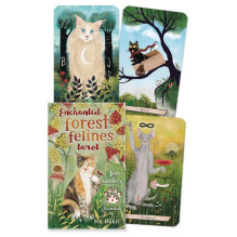 Tarot Card Set - Llewellyn...