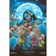 Oracle Card Deck - Blue Angel Moon Temple Oracle 44 Cards 256 Page Guide