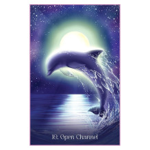 Oracle Card Deck - Whispers of the Dolphin Heart 44 Cards 168 Page Guide Oracle Card Deck - Whispers of the Dolphin Heart 44 Cards 168 Page Guide