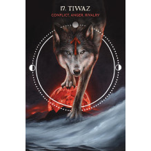Spiritual Cards - Animal Guide Rune Cards 25 Cards 288 Page Guide Spiritual Cards - Animal Guide Rune Cards 25 Cards 288 Page Guide