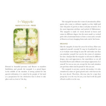 Oracle Card Set - Midnight Sun Oracle 36 Card Guide 14x10x3 cm 310 g