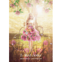 Oracle Card Set - Midnight Sun Oracle 36 Card Guide 14x10x3 cm 310 g