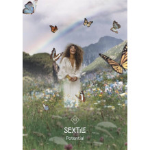 Žaidimų Kortos - Verslo Astrologijos Oracle 62 Kortos ir Gidas 13.5x10.0x5.0 cm