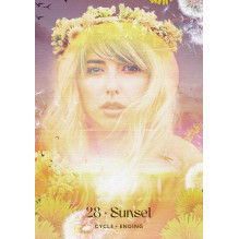 Oracle Card Set - Midnight Sun Oracle 36 Card Guide 14x10x3 cm 310 g