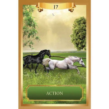 Oracle Card Deck - Hay House Energy 53 Cards with Guide Book Oracle Card Deck - Hay House Energy 53 Cards with Guide Book