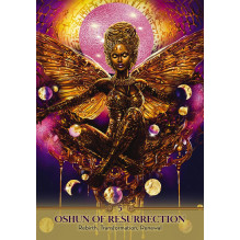 Oracle Cards - Oshun Faces Oracle 44 Card Guide 13.5 x 9.7 x 3.5 cm Oracle Cards - Oshun Faces Oracle 44 Card Guide 13.5 x 9.7 x 3.5 cm