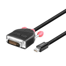 DisplayPort Adapteris -...