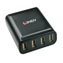 USB Ilgintuvas - LINDY 4...