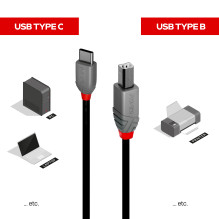 USB kabelis - LINDY Anthra...